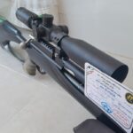 تفنگ کارت دار اسنوپیک ام ۲۵