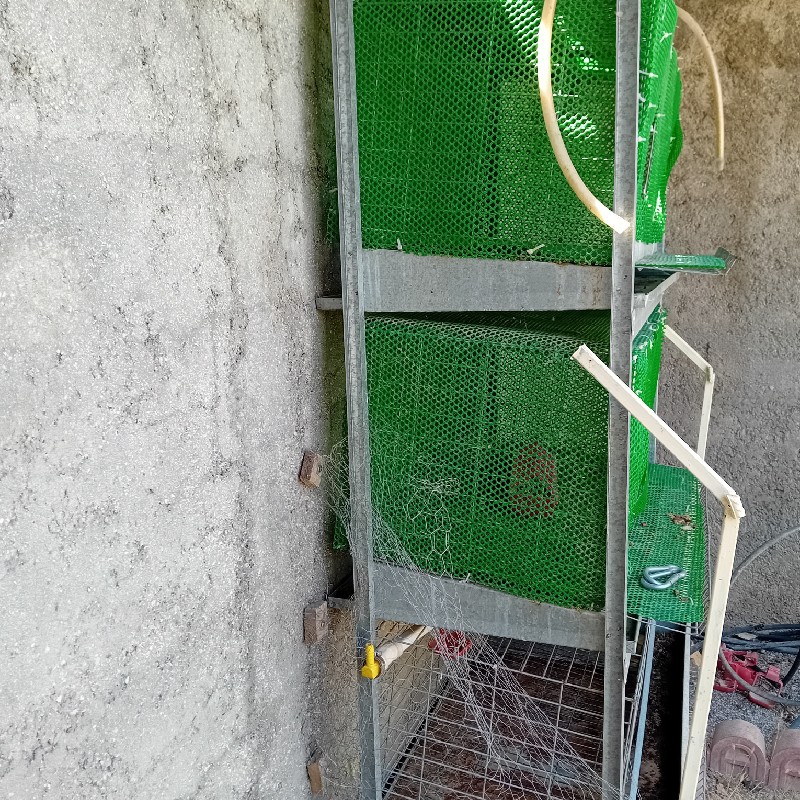 قفس سه طبقه مرغ