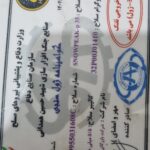 P35کالیبر 5.5با کارت وزارت دفاع