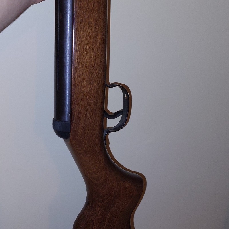 تفنگ بادی دیانا اصل آلمان