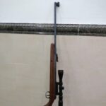 دیانا 34 کلاسیک