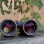 دوربین شکاری