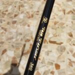 لنسر ماهیگیری