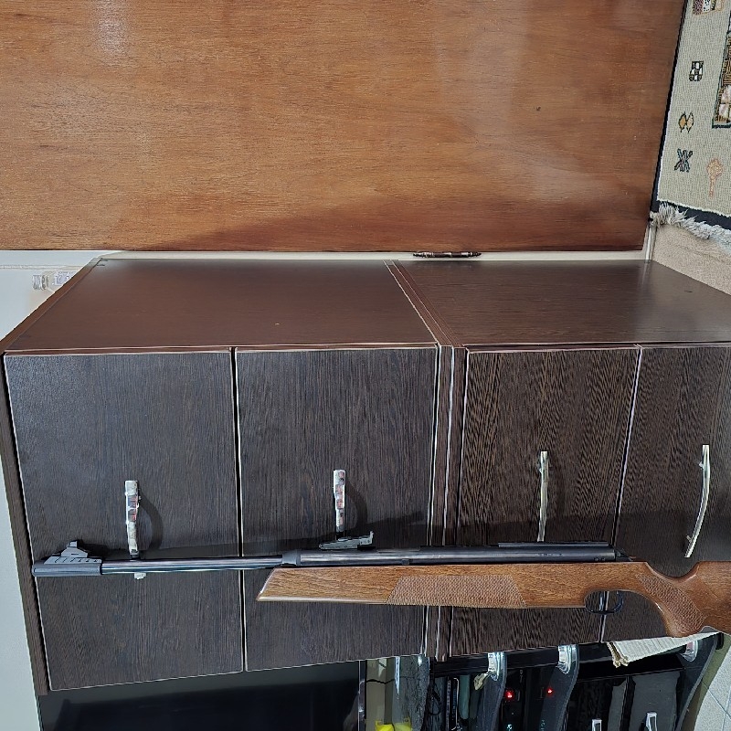 تفنگ بادی دیانا ۵۴ کالیپر ۴/۵