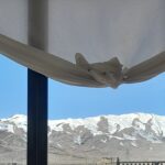 فروش یا معاوضه ویلایی ۵۲۰ متری با درختان میوه