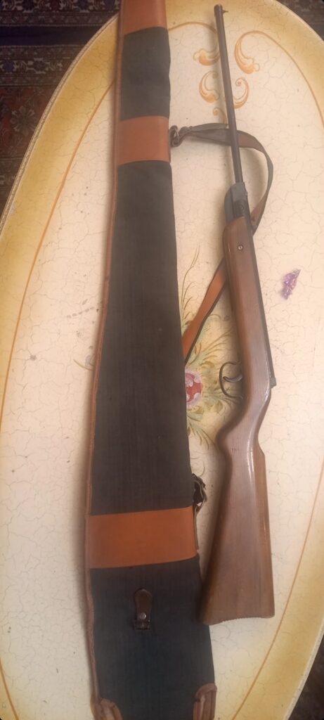 تفنگ بادی دیانا مدل 22