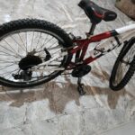 دوچرخه ویوا تایوانی اصلی