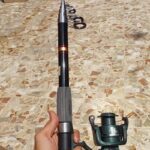 لنسر ماهیگیری