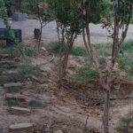 فروش یا معاوضه ویلایی ۵۲۰ متری با درختان میوه