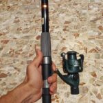 لنسر ماهیگیری