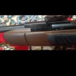 تفنگ بادی مدلn01ماهشهرجراحی