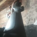 معاوضه تفنگ بادی با لب تاپ