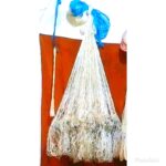 تور ماهیگیری پرتابی(سالی)