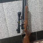 پی سیپی کرال مگا2