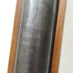 دیانا مگنوم