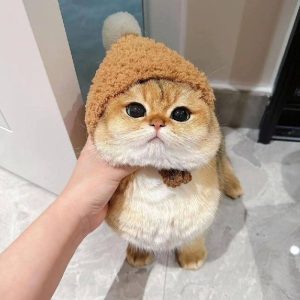 خریدار تفنگ بادی هستم