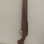 دیانا مگنوم