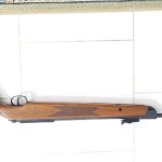 دیانا مگنوم