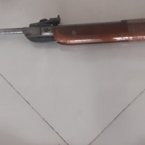 دیانا ۵/۵
