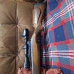 دیانا مگنوم ۴۶۰