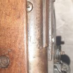 دیانا مگنوم ۳۵۰