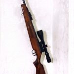 بسیار سالم به شرط ۴۰۰ تا تیر هم داره