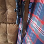 دیانا مگنوم ۴۶۰