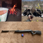 تفنگ بادی کرال N11 نیتروپیستون ۵.۵