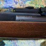 تفنگ بادی دیاناالمانی