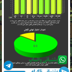 تفنگ بادی کرال N11 نیتروپیستون ۵.۵