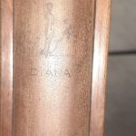 دیانا مگنوم ۳۵۰