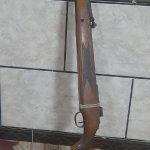 دیانا مگنوم ۳۵۰