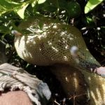 عسل طبیعی اصل کیلو 1800