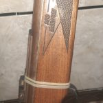 دیانا مگنوم ۳۵۰