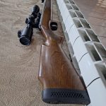 دیانا مگنوم ۴۶۰