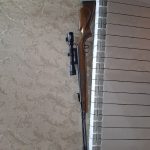 دیانا مگنوم ۴۶۰