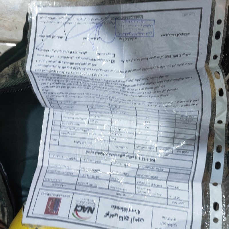 کپسول اروپایی