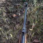 تفنگ بادی المانی