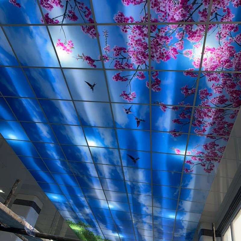 سقف کاذب میثم