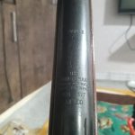 گوهر مجارستان