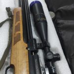 تفنگ کرال مگا