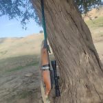 تفنگ بادی دیانا ۴۵