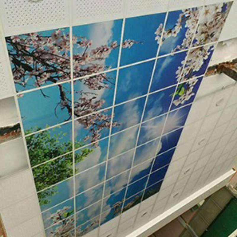 سقف کاذب میثم