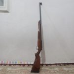 دیانا 350 مگنوم کالیبر 5/5
