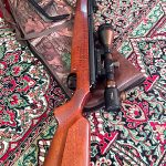 تفنگ بادی دیانا ۵۴ t06 با دوربین